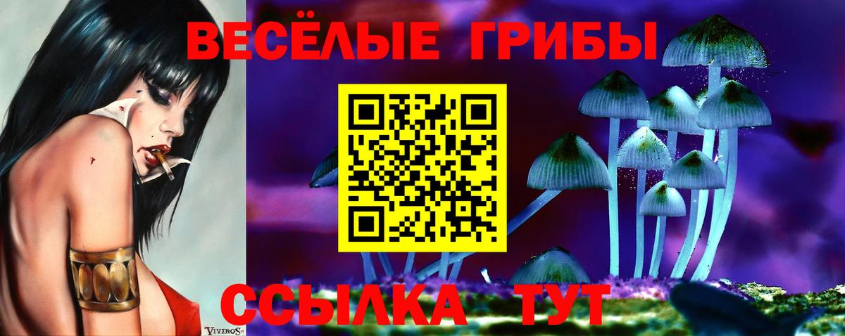 Елабуга  Галлюциногенные грибы MAGIC MUSHROOMS  Вход с VPN 